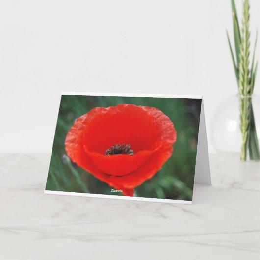 ケシの花と意味 カード (裏面)