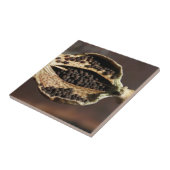 ケシの花のポッドのの中 タイル (側面)