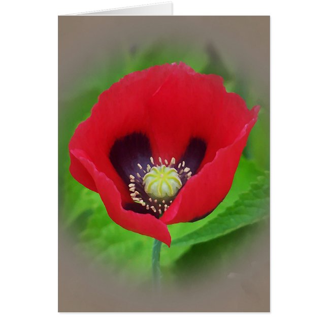 ケシの花カード (正面)