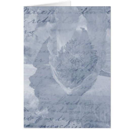 ケシの花 (正面)