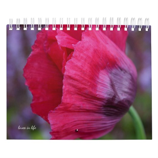ケシの花 カレンダー (カバー)