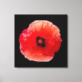 ケシの花 キャンバスプリント