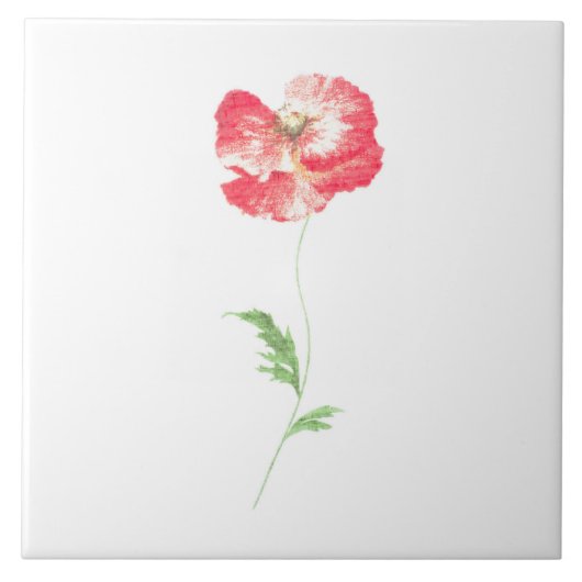 ケシの花 タイル (正面)