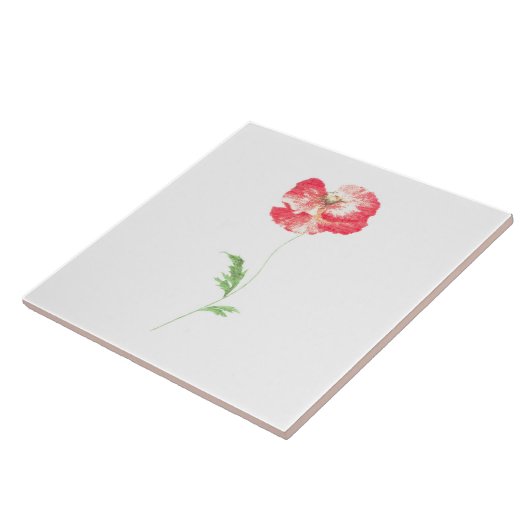 ケシの花 タイル (側面)