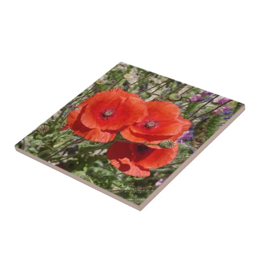 ケシの花 タイル (側面)