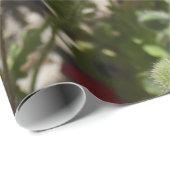 ケシの花 ラッピングペーパー (ロールコーナー)