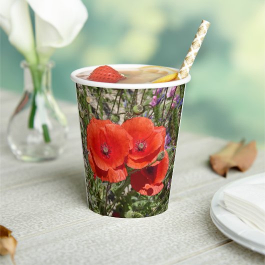 ケシの花 紙コップ (インサイチュ)