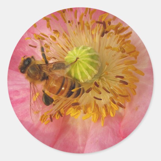 ケシの蜜蜂 ラウンドシール (正面)