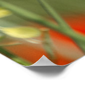 ケシの衛兵 ポスター (角)