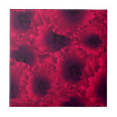 ケシの赤いケシ タイル (正面)
