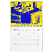 ケシの2008年のPin… カレンダー (2月 2026)