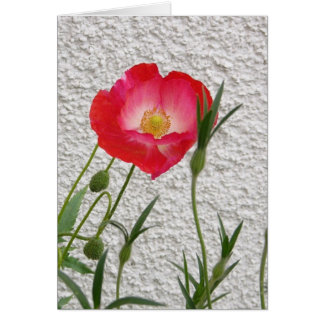 ケシのnotelet