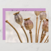 ケシわらさや 招待状 (正面/裏面)