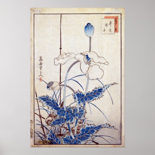 ケシを越えた中山菅久道の鳥|過去記事 ポスター (正面)