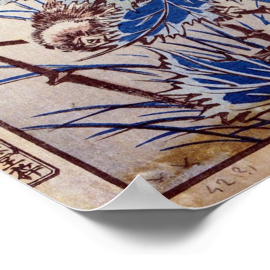 ケシを越えた中山菅久道の鳥|過去記事 ポスター (角)