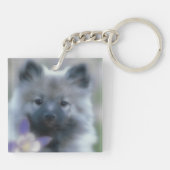 ケシャンドとオダマキ（植物） – 犬の写真 キーホルダー (裏面)