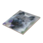 ケシャンドとオダマキ（植物） – 犬の写真 タイル (側面)