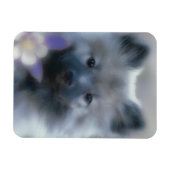 ケシャンドとオダマキ(植物) – 犬の写真 マグネット (横)