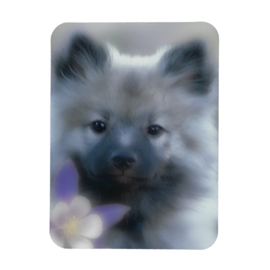 ケシャンドとオダマキ(植物) – 犬の写真 マグネット (縦)