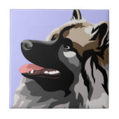 ケシャンドドッグ タイル (正面)