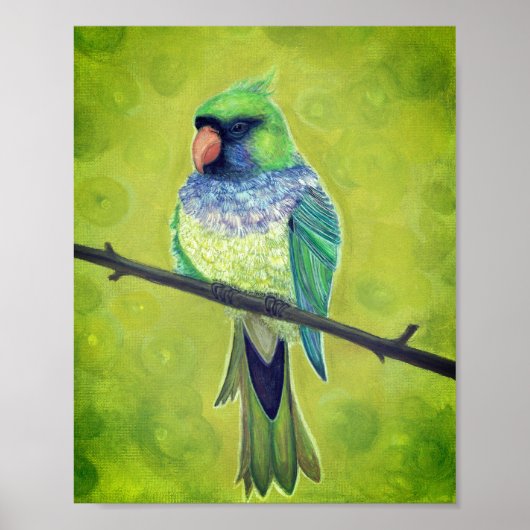 ケシャ ポスター (正面)