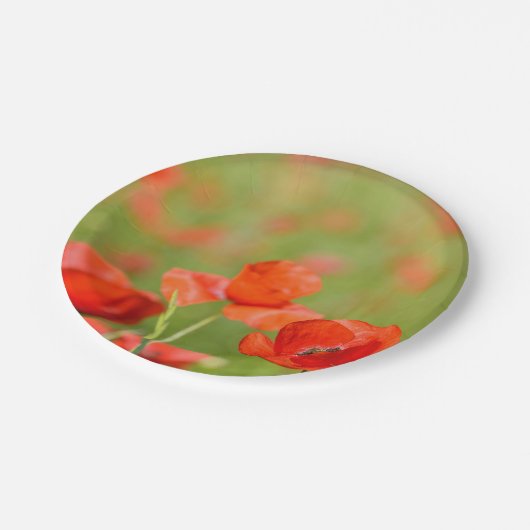 ケシ分野のピクニック紙皿のケシ ペーパープレート (アングル)