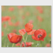 ケシ分野の包装紙のケシ ラッピングペーパー (フラット)