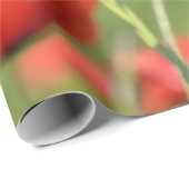 ケシ分野の包装紙のケシ ラッピングペーパー (ロールコーナー)