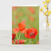 ケシ分野の挨拶状のケシ カード (黄色い花)