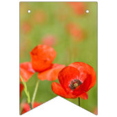 ケシ分野の鮮やかなケシ バンティングフラッグ (第2の旗)