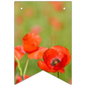 ケシ分野の鮮やかなケシ バンティングフラッグ (第3の旗)