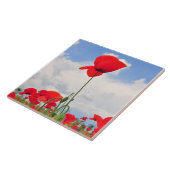 ケシ分野 タイル (側面)