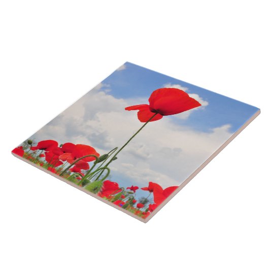 ケシ分野 タイル (側面)