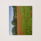 ケシ分野、Chiusi、イタリア ジグソーパズル (縦)