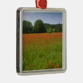 ケシ分野、Chiusi、イタリア メタルオーナメント (右)
