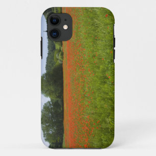 ケシ分野、Chiusi、イタリア iPhone 11 ケース