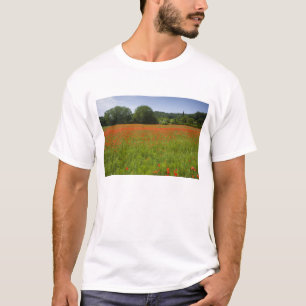 ケシ分野、Chiusi、イタリア Tシャツ