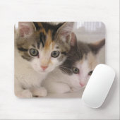 ケシ及びデイジー マウスパッド (マウス)