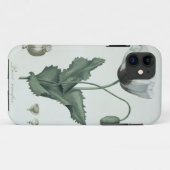 ケシ属- 「Phytographie Medicale」からのsomniferum Case-Mate iPhoneケース (裏面(横))