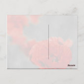 ケシ彗星 ポストカード (裏面)