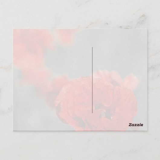 ケシ彗星 ポストカード (裏面)