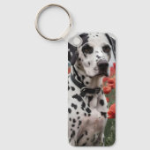 ケシ畑でハンサムなダレメド犬 キーホルダー (正面)