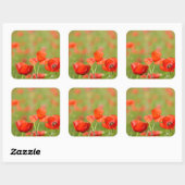 ケシ畑のステッカーに入ったケシ スクエアシール (シート)