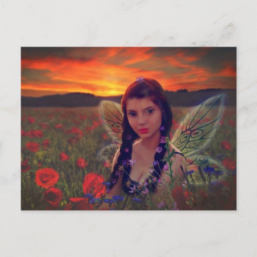 ケシ畑の妖精の日没ファンタジーアート ポストカード (正面)