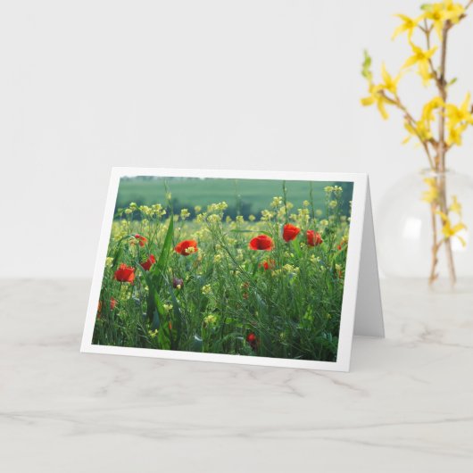 ケシ畑 カード (黄色い花)