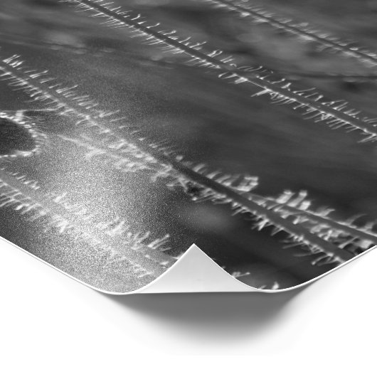 ケシ畑 フォトプリント            (角)