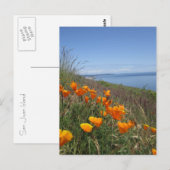 ケシ畑 ポストカード (正面/裏面)