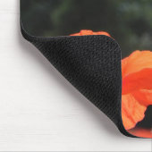 ケシ畑、美しい開花、 マウスパッド (コーナー)