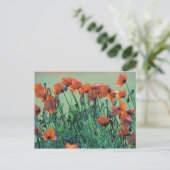 ケシ第4号 |はがき ポストカード (スタンド正面)