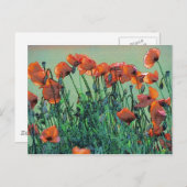 ケシ第4号 |はがき ポストカード (正面/裏面)